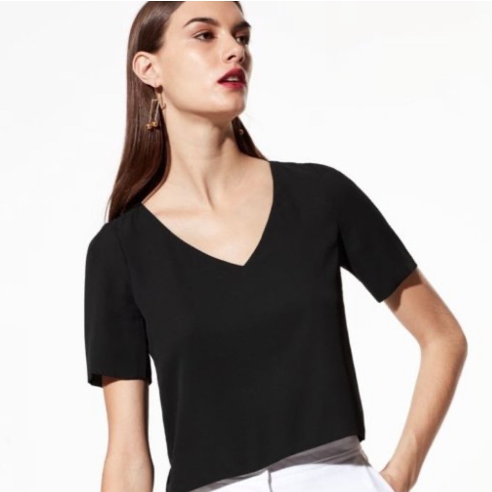 Babaton Randy Blouse Aritiza